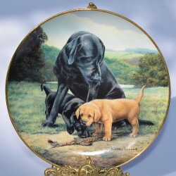 Porcelánový tanier