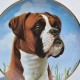 Porcelánový tanier 