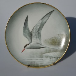 Porcelánový tanier 