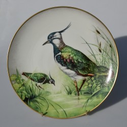 Porcelánový tanier 