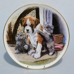 Porcelánový tanier  