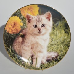Porcelánový tanier 