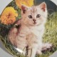 Porcelánový tanier 
