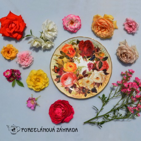 Porcelánový tanier 