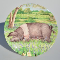 Porcelánový tanier 