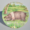 Porcel&aacute;nov&yacute; tanier 