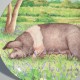 Porcelánový tanier 