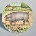 Royal Doulton Porcel&aacute;nov&yacute; tanier 