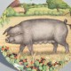 Royal Doulton Porcelánový tanier 
