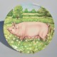 Royal Doulton Porcelánový tanier 