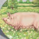 Royal Doulton Porcelánový tanier 