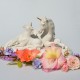 Porcelánová socha Unicorn 