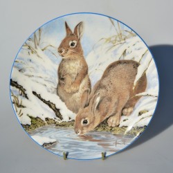 Porcelánový tanier 