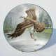 Wedgwood Porcelánový tanier