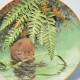Wedgwood Porcelánový tanier