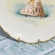 Minton Zberateľský porcelánový tanier