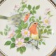 Porcelánový tanier Robin