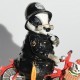 Zberateľská soška Borage Badger
