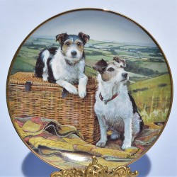 Porcelánový tanier 