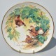 Hutschenreuther Porcelánový tanier