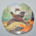 Porcel&aacute;nov&yacute; tanier Royal Grafton