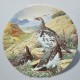 Porcelánový tanier 