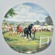 Royal Doulton  Porcelánový tanier