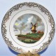 Porcelánový tanier 