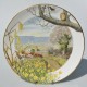 Royal Worcester Porcelánový tanier 