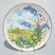 Royal Albert Sada porcelánové taniere 