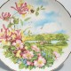Royal Albert Sada porcelánové taniere 