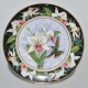 Royal Doulton Zberateľský porcelánový tanier 