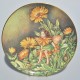 Wedgwood Porcelánový tanier Fairy