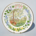 Porcel&aacute;nov&yacute; tanier