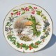 Sada 4 ks porcelánové taniere 4 roč.obdobia