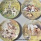 Royal Worcester Porcelánový tanier 