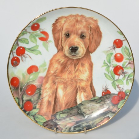 Porcelánový tanier