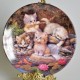 Porcelánový tanier 