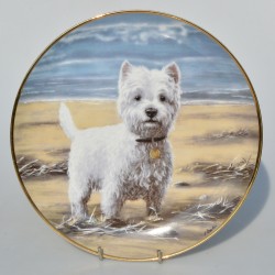 Porcelánový tanier 