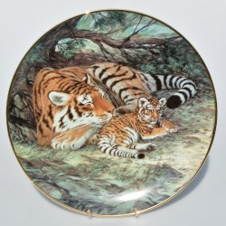 Porcelánový tanier 