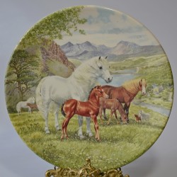 Porcelánový tanier